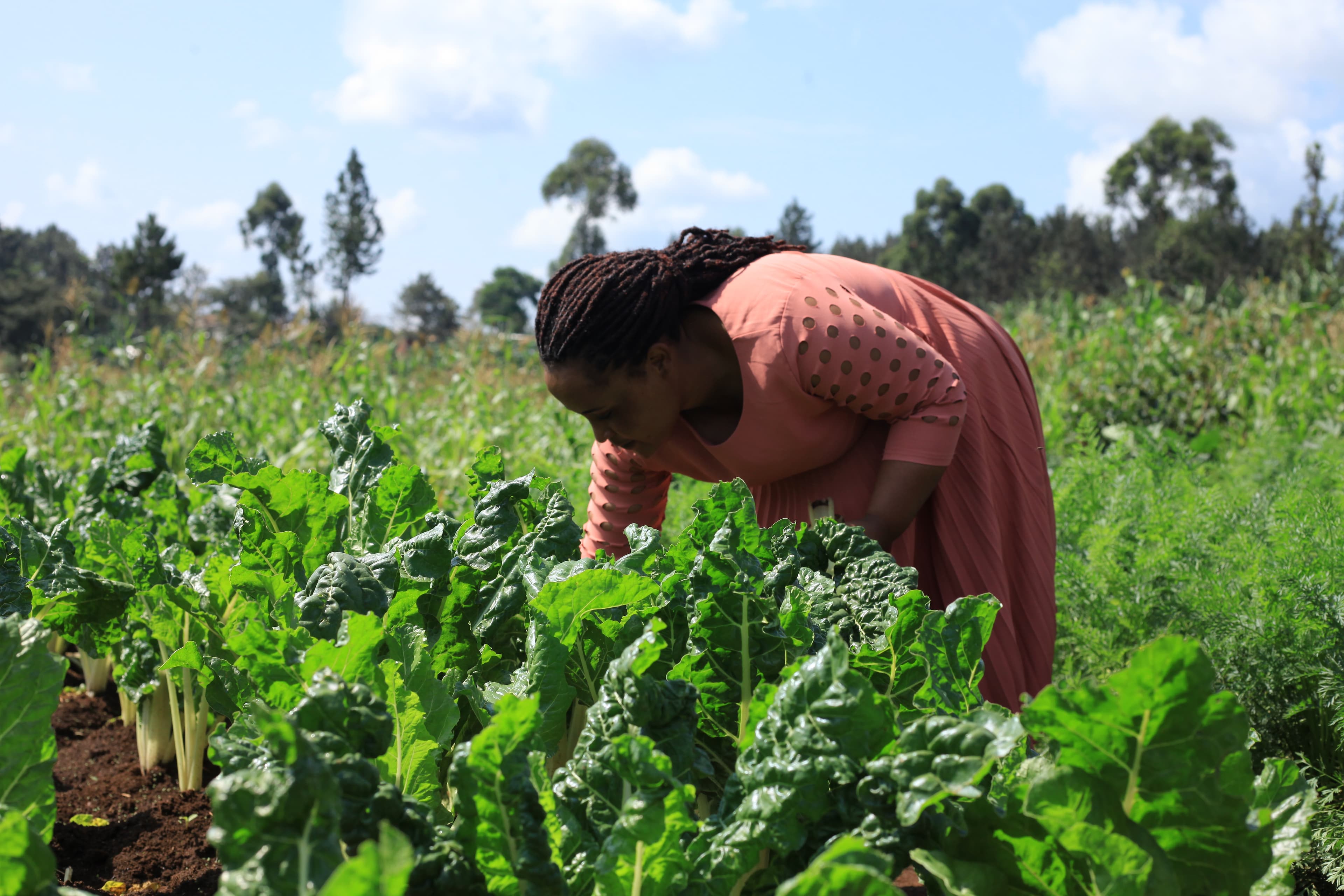 Agriculture & Environment
